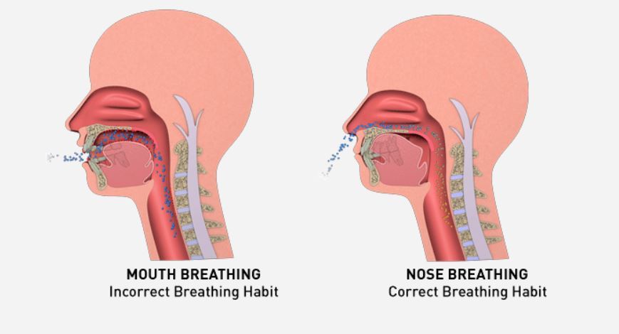 Sleep-Disordered Breathing in Alpine, UT | Alpine Airway Wellness